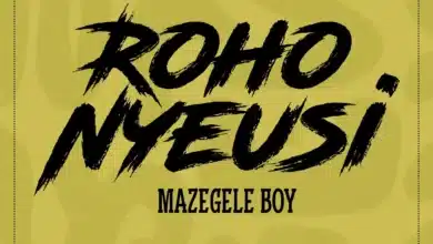 Mazegele Boy - Roho Nyeusi
