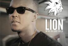 Wyre – Lion