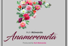 Anameremeta2BCover2Bdjmwanga 1