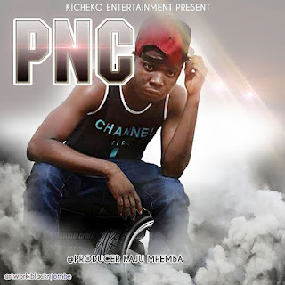 Audio: PNC - Ananuna Nuna (Mp3 Download) - KibaBoy