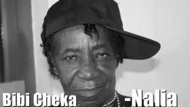 Audio: Bibi Cheka - Nalia (Mp3 Download)