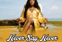 Audio: Lady Jaydee - Never Say Never (Mp3 Download) - KibaBoy