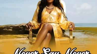 Audio: Lady Jaydee - Never Say Never (Mp3 Download) - KibaBoy