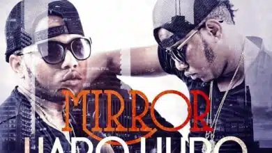 Mirror2B 2BHapo2BUlipo