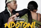 Audio: Timbulo - Ndotoni (Mp3 Download) - KibaBoy