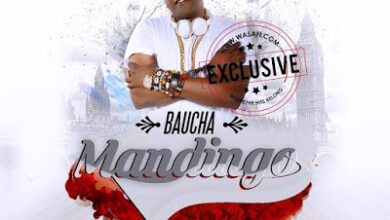 Baucha2B 2BMandingo