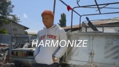 Harmonize 2BSina2Bvideo 1