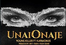 Young2BKiller2BX2BHarmonize2BUnaionaje
