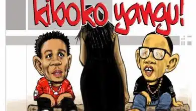 Audio: Mwana FA Ft Alikiba - Kiboko Yangu (Mp3 Download)