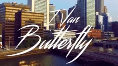 Ivan2B 2BButterfly