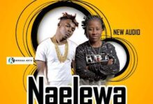 Naelewa COVER