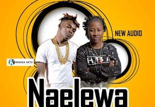 Naelewa COVER