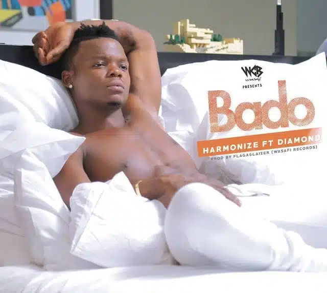 VIDEO: Harmonize Ft Diamond Platnumz - Bado (Mp4 Download)