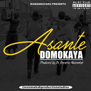 DOMO KAYA - ASANTE