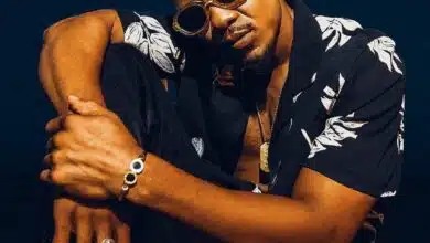 Audio: Tox Star Ft. Ngwea, Godzilla, Kregalz, Udeude, Q Chillah & Alikiba - Pretty Girl (Mp3 Download)