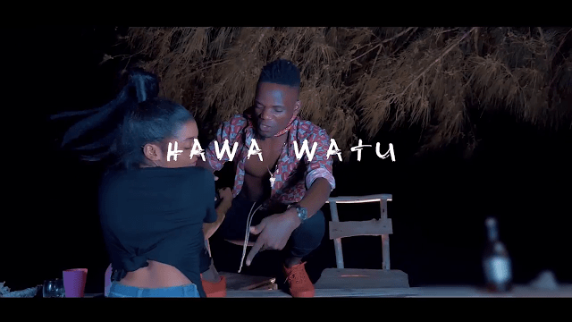 VIDEO: Sharpa Tz Ft. Brown Punch - Hawa Watu (Mp4 Download) - KibaBoy