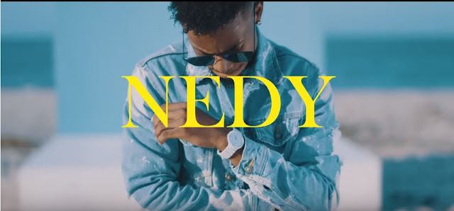 VIDEO: Nedy Music ft Mr Blue - Nishalewa (Mp4 Download) - KibaBoy