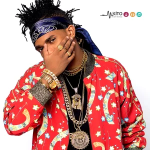 Audio: Dogo Janja Ft Aslay - Nimeshamaliza (Mp3 Download)