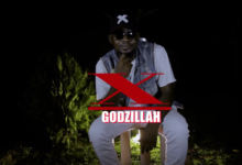 video godzilla x