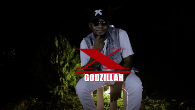 video godzilla x