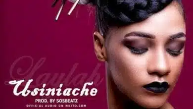 Audio: Layla – Usiniache (Mp3 Download)