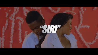 VIDEO: Rayvanny Ft. Nikk Wa Pili - Siri (Mp4 Download) - KibaBoy