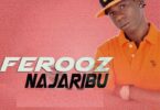 Audio: Ferooz - Najaribu (Mp3 Download) - KibaBoy