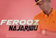 Audio: Ferooz - Najaribu (Mp3 Download) - KibaBoy