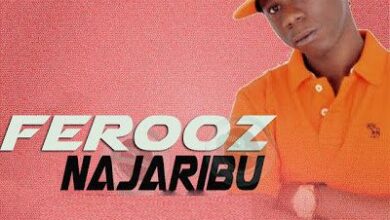 Audio: Ferooz - Najaribu (Mp3 Download) - KibaBoy