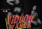 Audio: Pretty Kind Ft Gigy Money – VIDUDU WASHA (Mp3 Download) - KibaBoy