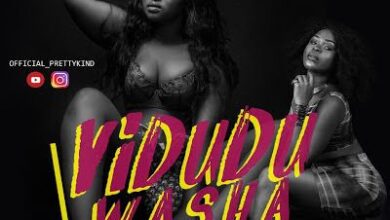 Audio: Pretty Kind Ft Gigy Money – VIDUDU WASHA (Mp3 Download) - KibaBoy