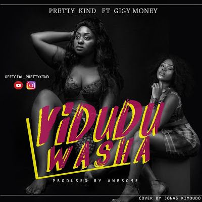 Audio: Pretty Kind Ft Gigy Money – VIDUDU WASHA (Mp3 Download) - KibaBoy