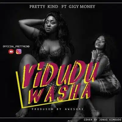 Audio: Pretty Kind Ft Gigy Money – VIDUDU WASHA (Mp3 Download)