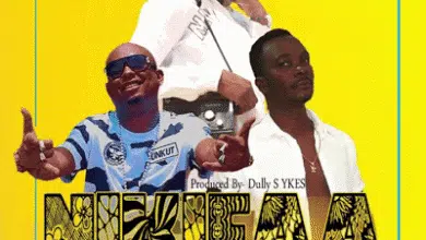 Audio: Sheby sheby Ft. Mr blue - Nikifaa (Mp3 Download)