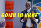 VIDEO: Bushoke - Goma la Ukae (Mp4 Download) - KibaBoy