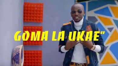 VIDEO: Bushoke - Goma la Ukae (Mp4 Download) - Kibaboy