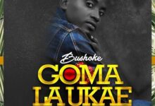 Audio: Bushoke - Goma la Ukae (Mp3 Download) - KibaBoy