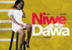 Audio: Nini ft Nay wa Mitego – Niwe Dawa (Mp3 Download) - KibaBoy