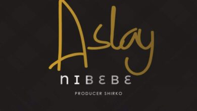 Audio: Aslay - Nibebe (Mp3 Download) - KibaBoy