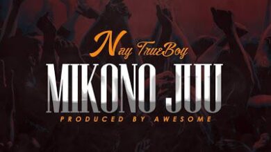 Audio: Nay Wa Mitego - Mikono Juu (Mp3 Download) - KibaBoy