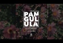 Audio: King Kaka Ft Arrow Bwoy – Pangulula (Mp3 Download) - KibaBoy