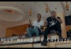 VIDEO: Chikuzee Ft Ally Mahaba - Lala (Mp4 Download) - KibaBoy