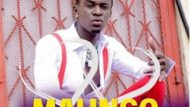 Audio: Willy Paul - Malingo (Mp3 Download) - KibaBoy