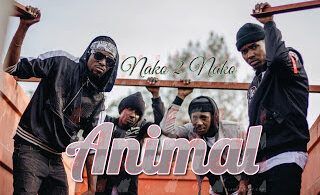 Audio: Nako2Nako - Animal (Mp3 Download)