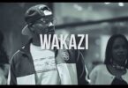 VIDEO: Wakazi - Bakora (Mp4 Download) - KibaBoy