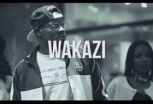 VIDEO: Wakazi - Bakora (Mp4 Download) - KibaBoy