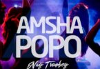 Audio: Nay Wa Mitego - Amsha Popo (Mp3 Download) - KibaBoy