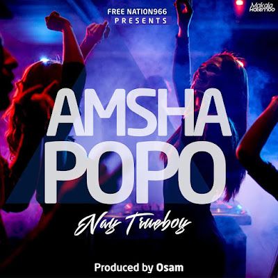 Audio: Nay Wa Mitego - Amsha Popo (Mp3 Download) - KibaBoy