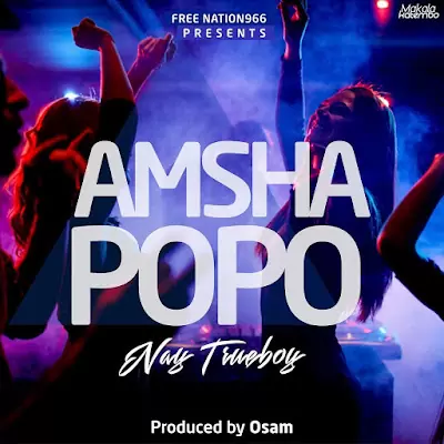 Audio: Nay Wa Mitego - Amsha Popo (Mp3 Download)