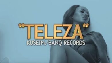 VIDEO: Sewa Sewa X Eddy Kenzo - Tereeza (Mp4 Download) - KibaBoy